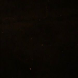 Meet your Posher, Dominique